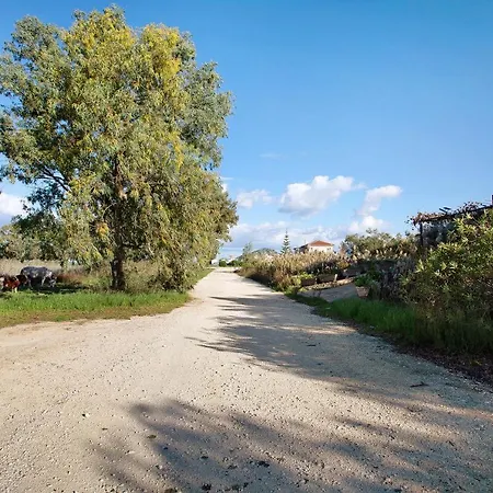 Dolphin Sea View 9 Keri